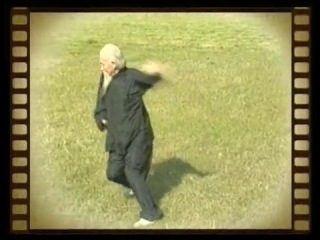 master of taoist alchemy and baguazhang lu zijian (118 years old) performs daoist-bagua master lu zijian (117) - taiyi huolong palm